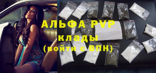 PSILOCYBIN Аркадак