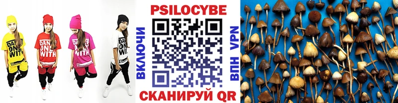 Галлюциногенные грибы прущие грибы купить наркоту Малгобек